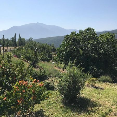 Els Pirineus Lejlighed Moltig les Bains Eksteriør billede